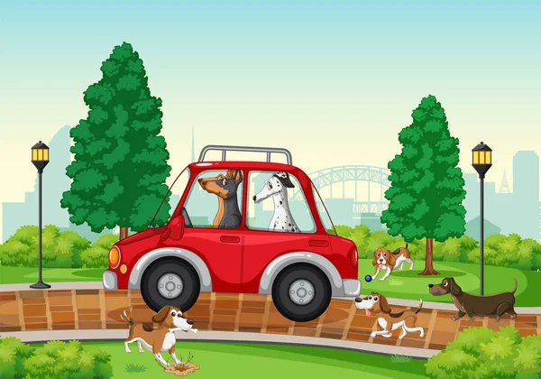 Muitos Cães Brincando Parque Ilustração — Vetor de Stock