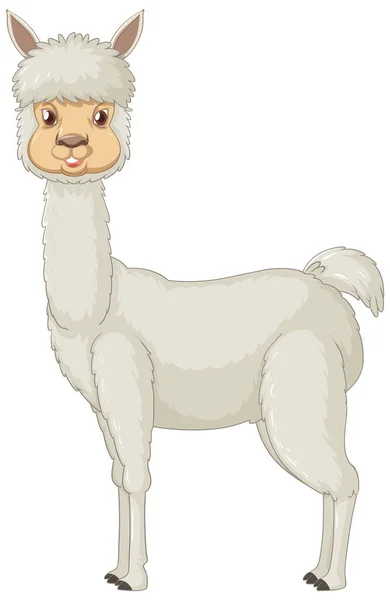 Una Alpaca Sobre Fondo Blanco Ilustración — Archivo Imágenes Vectoriales