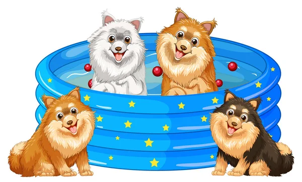 Vier Honden Spelen Het Zwembad Illustratie — Stockvector