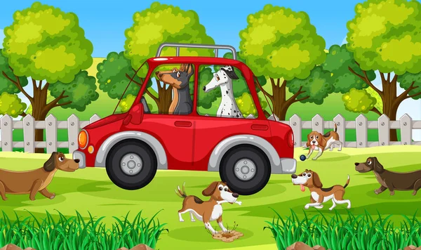 Honden Rijden Rode Auto Park Illustratie — Stockvector