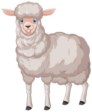 Beyaz arkaplanda bir koyun pozu