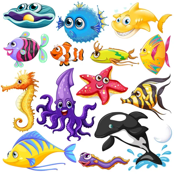 Різні Типи Ілюстрацій Морських Тварин — стокове фото