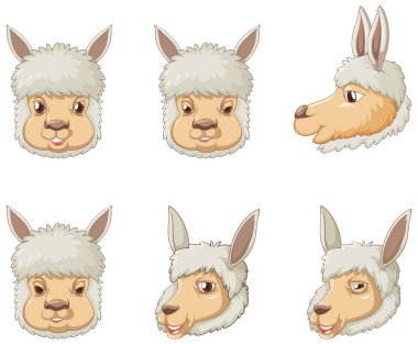 Beyaz arkaplan illüstrasyonunda bir alpaka kümesi