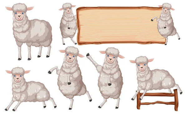 Σύνολο Από Διαφορετικά Πρόβατα Αγρόκτημα Στην Απεικόνιση Στυλ Κινουμένων Σχεδίων — Διανυσματικό Αρχείο