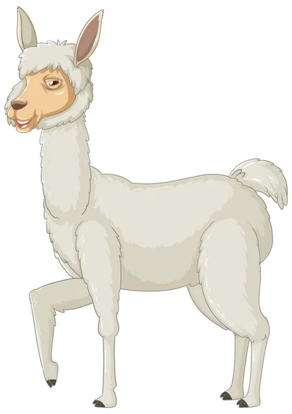 Una Alpaca Sobre Fondo Blanco Ilustración — Vector de stock