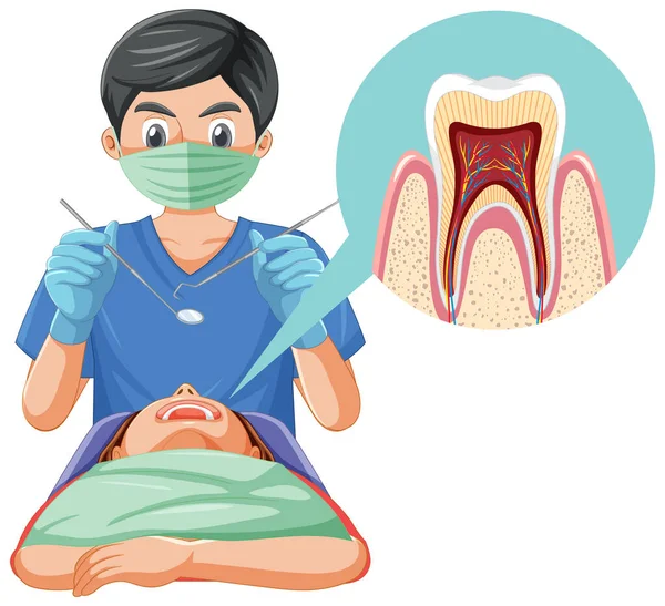 白い背景イラストで患者の歯を調べる歯科医の男 — ストックベクタ