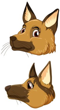 Beyaz arkaplan resimlerinde bir köpek başı