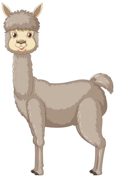 Alpaca White Background Illustration — Stock Vector