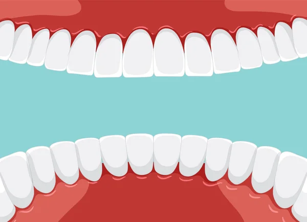 Человеческие Зубы Рту Белыми Зубами Иллюстрации — стоковый вектор
