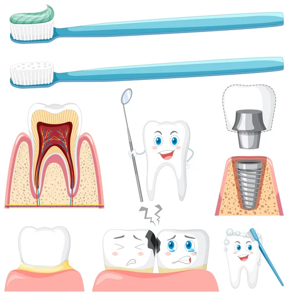 Uppsättning Alla Typer Tänder Med Tandrengöring Utrustning Vit Bakgrund Illustration — Stock vektor