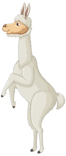 Uma Alpaca Sobre Fundo Branco Ilustração — Vetor de Stock