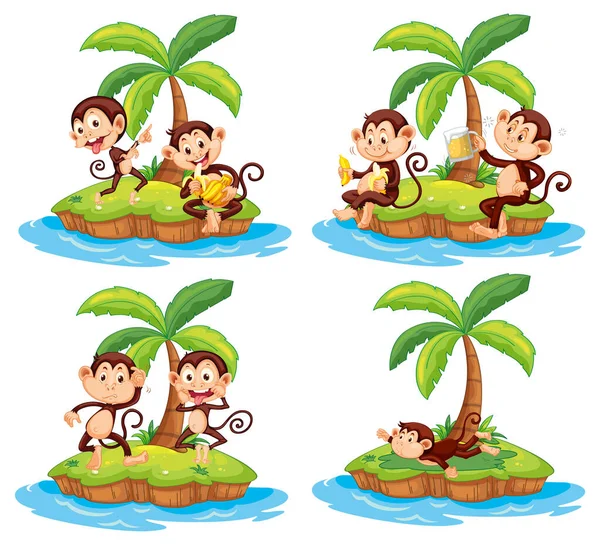 Sada Různých Izolovaných Ostrovů Opičí Kreslené Postavičky Ilustrace — Stockový vektor
