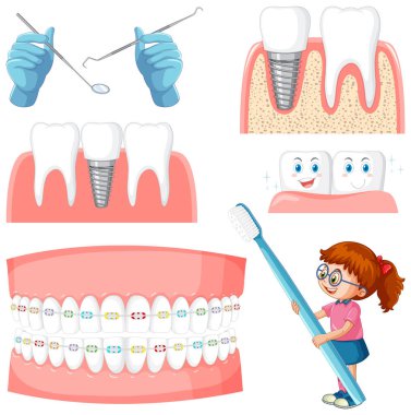 Beyaz arkaplan illüstrasyonunda her türden diş.