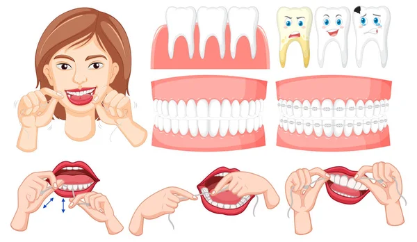 Conjunto Todos Los Tipos Dientes Sobre Fondo Blanco Ilustración — Archivo Imágenes Vectoriales