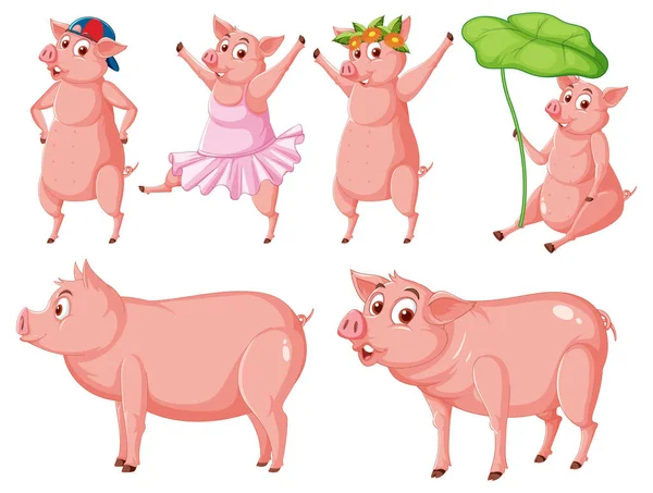 Set Different Farm Pigs Cartoon Style Illustration — Stock Vector