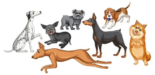 Σύνολο Από Διάφορα Χαριτωμένα Σκυλιά Στην Απεικόνιση Στυλ Κινουμένων Σχεδίων — Διανυσματικό Αρχείο