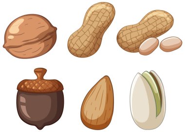 Bir sürü meşe palamudu, ceviz, badem, fıstık, karikatür tarzı illüstrasyon.