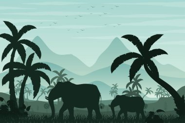 Orman sahnesinin gölgesi.