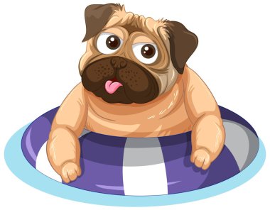 Beyaz arkaplanda lastik halkalı mutlu bir köpek.