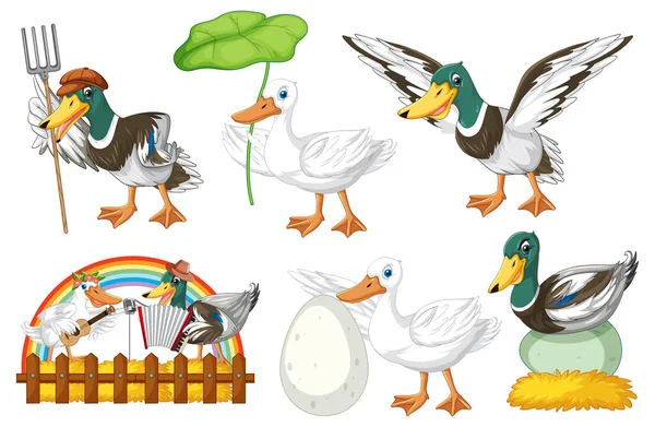 Set Different Poses Ducks Cartoon Characters Illustration — Stock Vector
