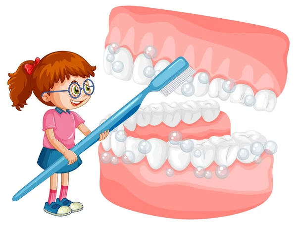Счастливый Ребенок Чистит Белые Зубы Зубной Щеткой Белом Фоне Иллюстрации — стоковый вектор