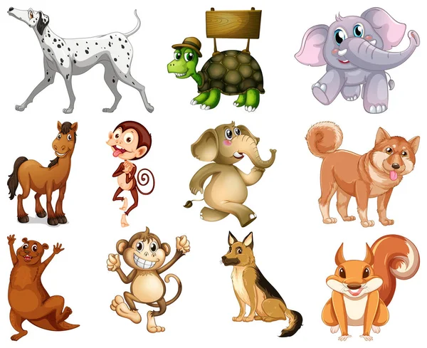 Conjunto Animal Desenho Animado Personagem Ilustração — Vetor de Stock