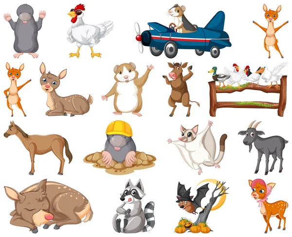 Conjunto Animal Desenho Animado Personagem Ilustração —  Vetores de Stock