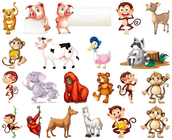 Conjunto Animal Desenho Animado Personagem Ilustração —  Vetores de Stock