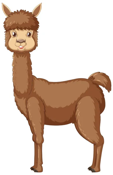 Una Alpaca Sobre Fondo Blanco Ilustración — Archivo Imágenes Vectoriales