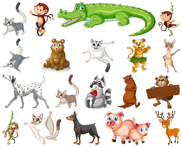 Набор Иллюстраций Персонажей Мультфильмов Животных — стоковый вектор