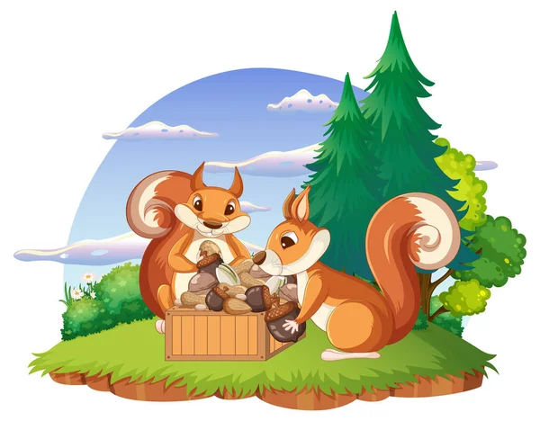 Squirrel Play Island Illustration — Stock Vector