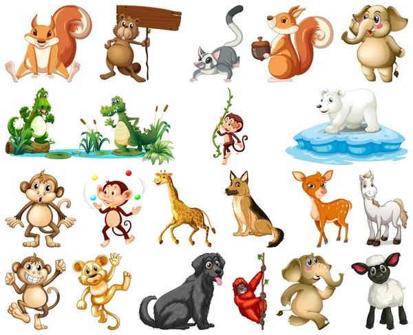 Conjunto Ilustración Personajes Dibujos Animados Animales — Vector de stock