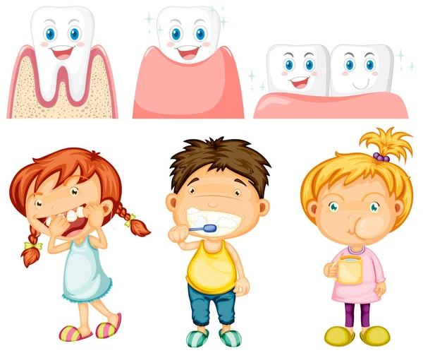 Set All Types Teeth Kids White Background Illustration — Stock Vector