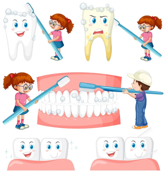 Set Tutti Tipi Denti Sfondo Bianco Illustrazione — Vettoriale Stock