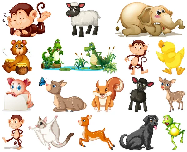 Conjunto Animal Desenho Animado Personagem Ilustração — Vetor de Stock