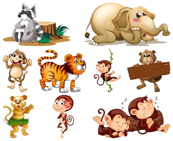 Set Animal Cartoon Character Illustration — Stock Vector