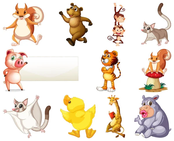 Conjunto Animal Desenho Animado Personagem Ilustração —  Vetores de Stock