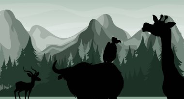 Orman sahnesinin gölgesi.