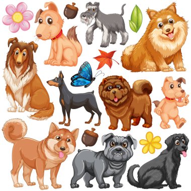 Köpekler illüstrasyon farklı türleri