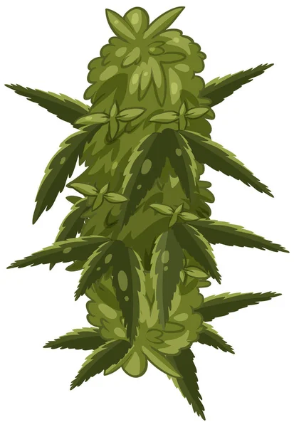 Planta Cannabis Sobre Fondo Blanco Ilustración — Archivo Imágenes Vectoriales