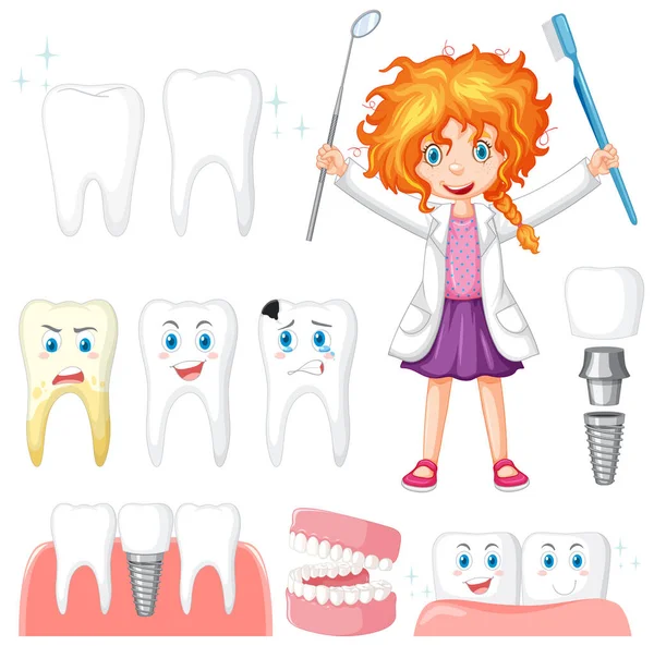 Set of all types of teeth on white background illustration