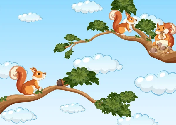 Three Squirrels Branch Illustration — Stock Vector