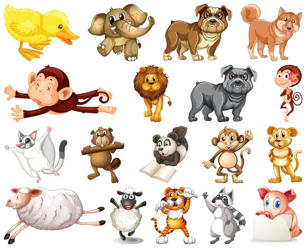 Set Animal Cartoon Character Illustration — Stock Vector