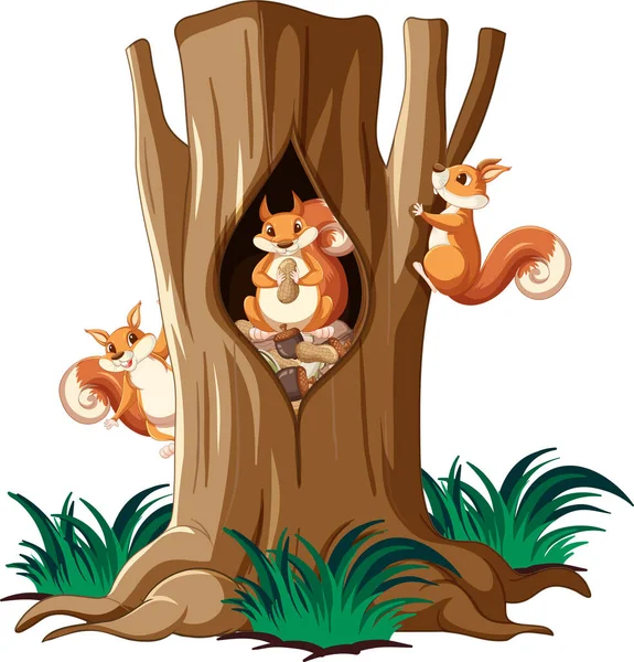 Drei Eichhörnchen Klettern Baum Illustration — Stockvektor