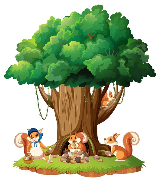 Squirrel Play Island Illustration — Stock Vector