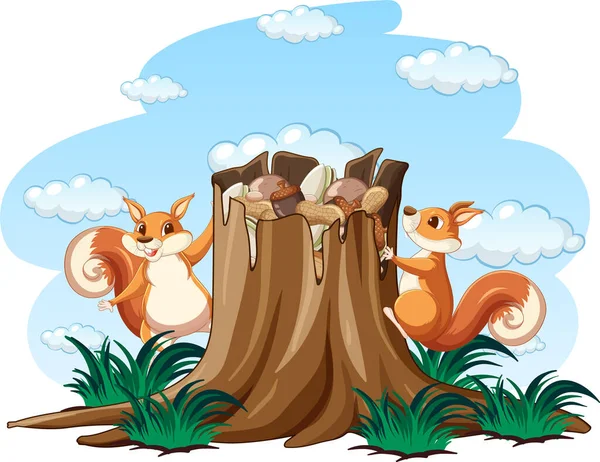 Deux Écureuils Noix Dans Illustration Jardin — Image vectorielle