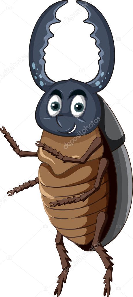 A beetle cartoon character isolated illustration