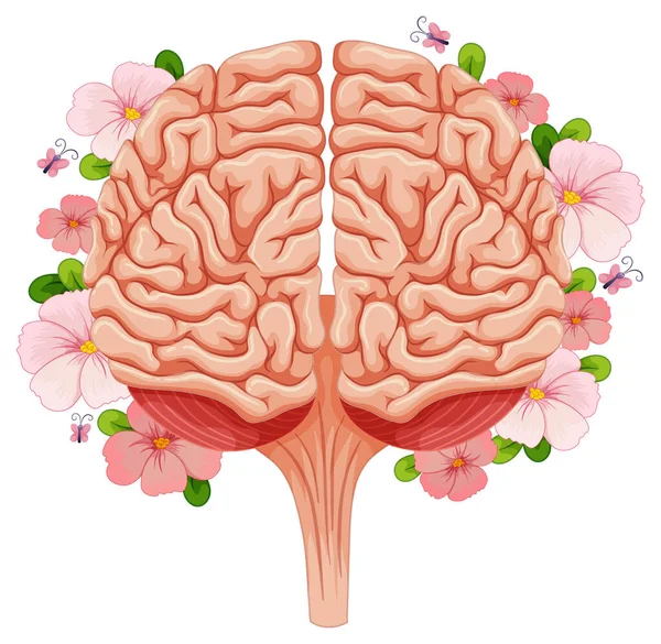 Cerebro Humano Con Muchas Flores Ilustración — Vector de stock