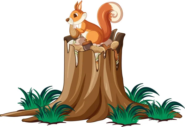 Brown Squirrel Sitting Log Illustration — Stock Vector