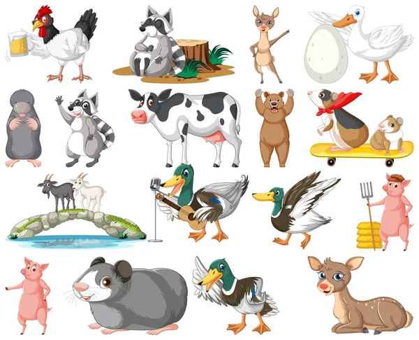 Set Van Verschillende Soorten Dieren Illustratie — Stockvector